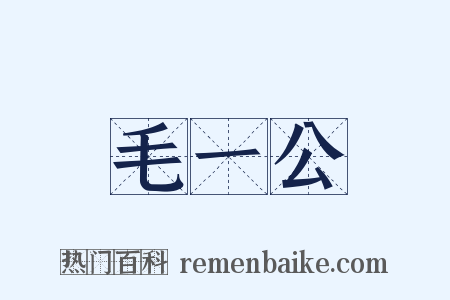 毛一公是什么意思的图片